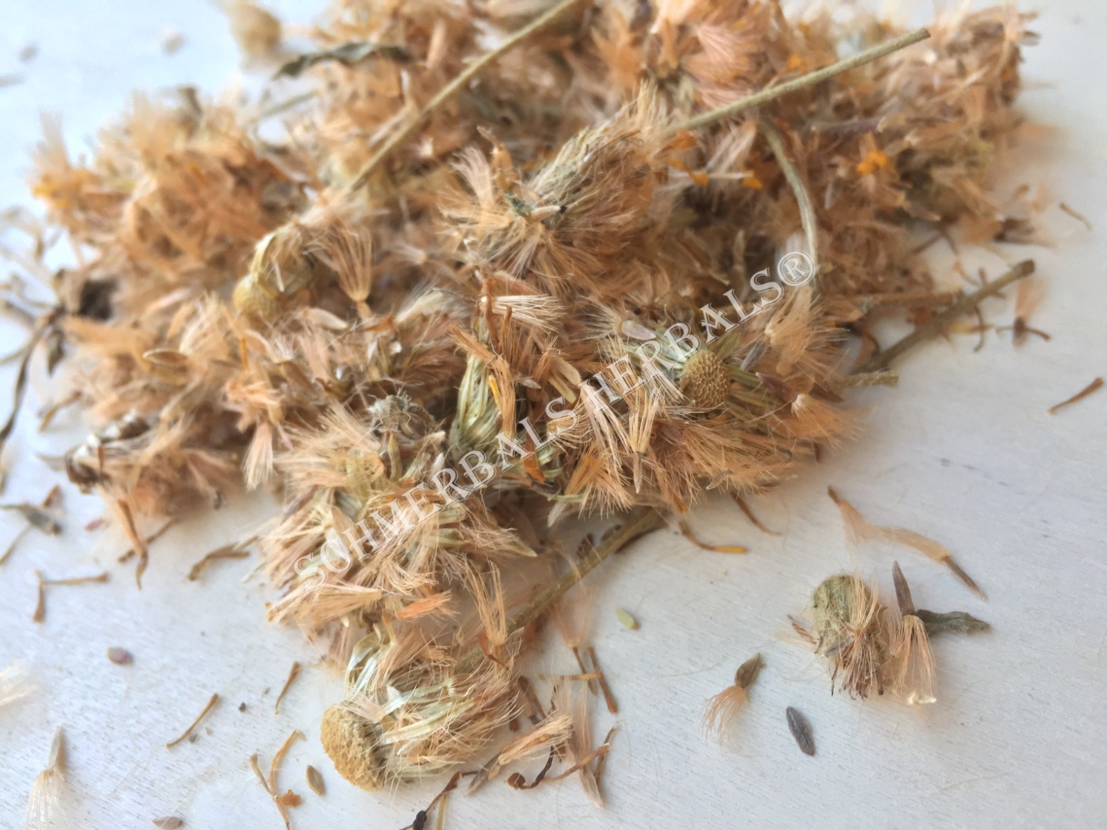 Arnica, Heterotheca inuloides, Whole Flower ~ Schmerbals Herbals®