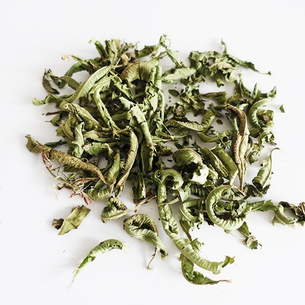 100% organic Wildcrafted Jamaican Blue Vervain Leaves Free Shipping No GMO