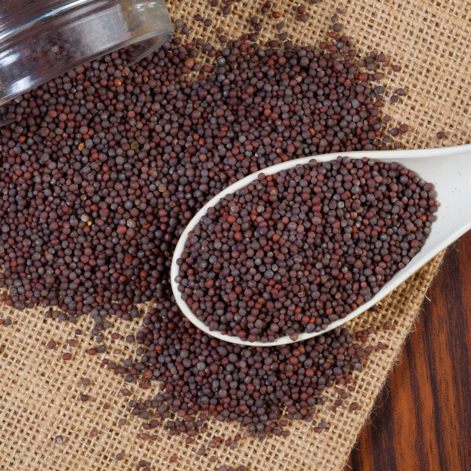 Mustard Seed Black Whole Dried Spice Organic Herb Seasoning For Cooking 3.5oz