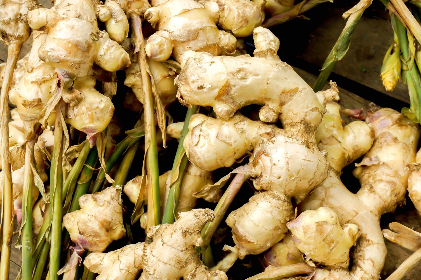 Organic Ginger Root Slices Dried Ceylon 100% Pure Natural Healthy Homemade 100g