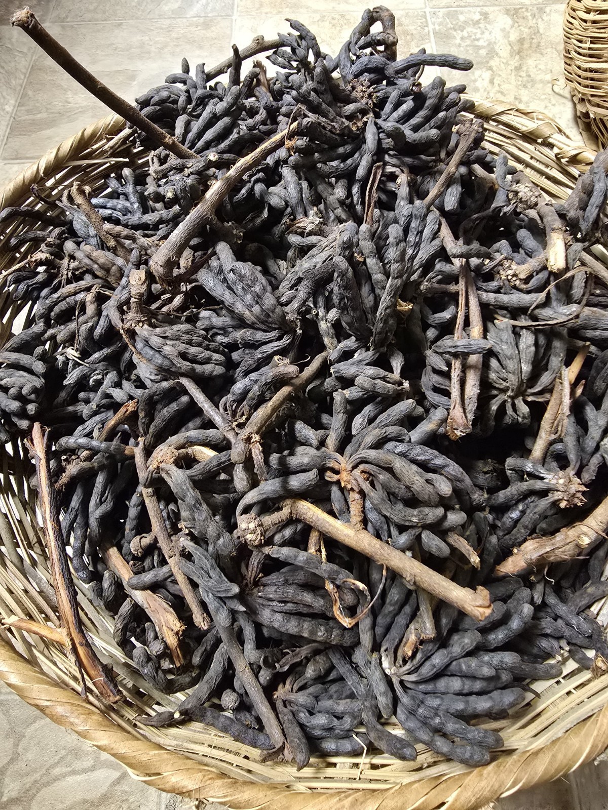 Selim pepper,African dry pepper,Uda,Ganifin,Xylopia Aethiopica,Negro peppe 5oz