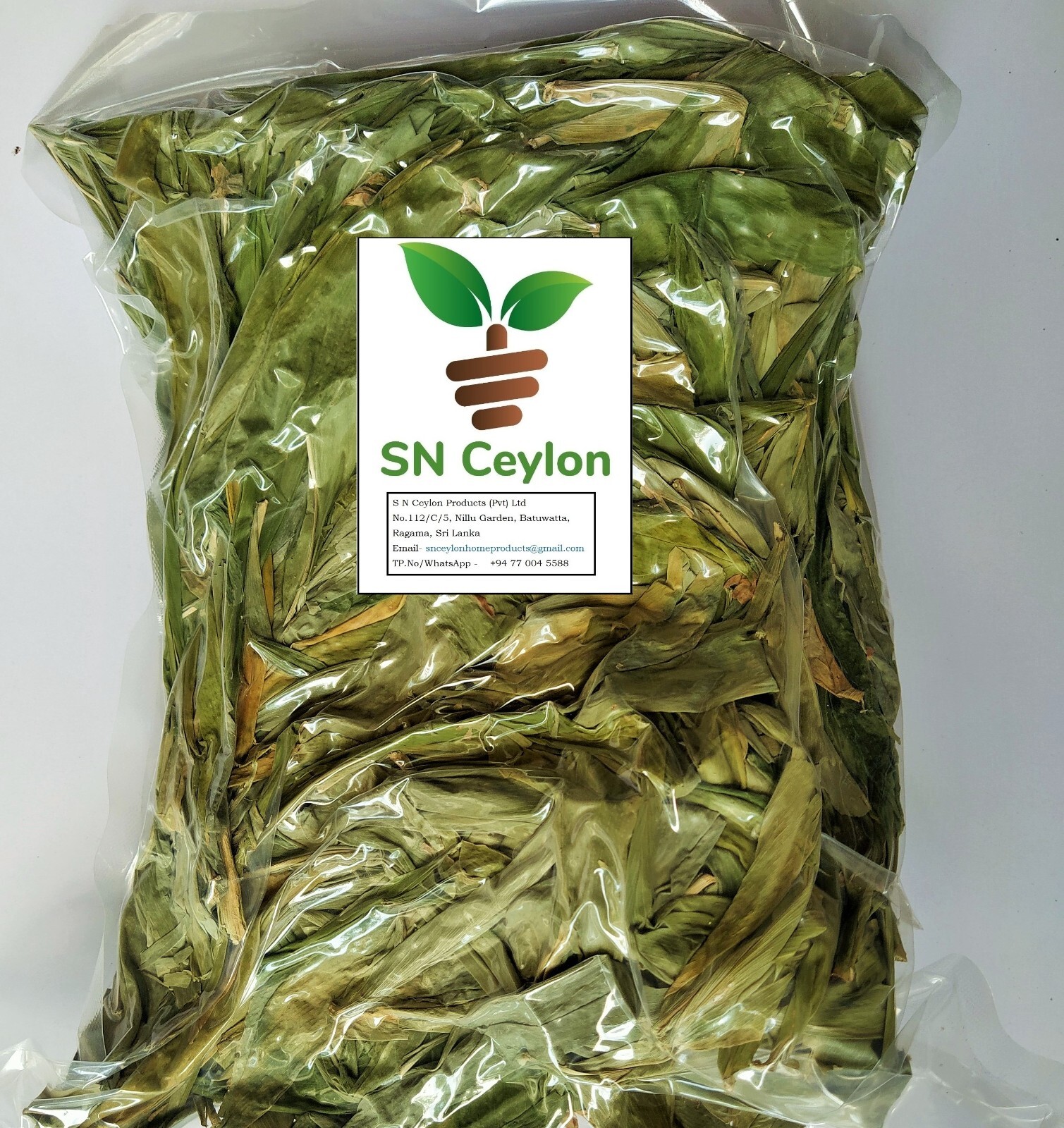 Shampoo Ginger Zingiber zerumbet| Bitter/ Wild Ginger Sri Lanka Wild Herb 3.5oz