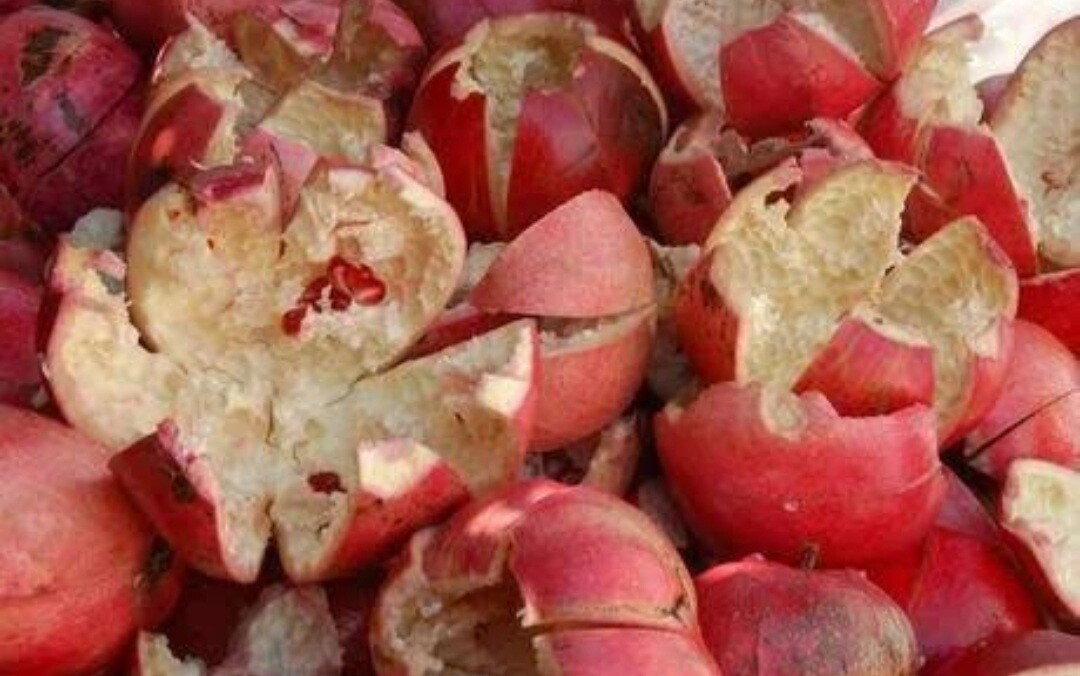 Organic Dried Pomegranate Peel.(punica Granatum),Anar Chilka