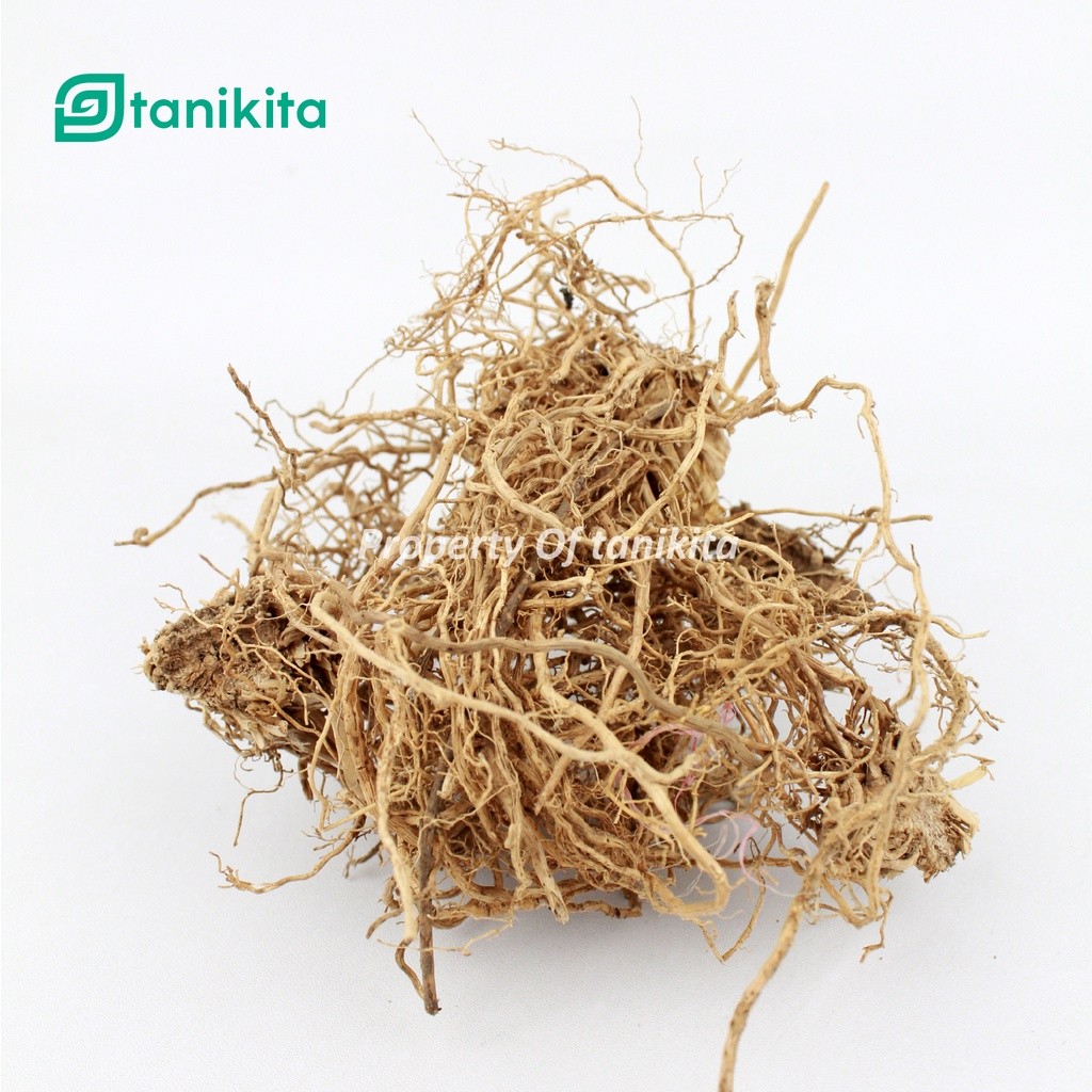 Vetiver Root 500g Dried Root Botanical For Herbal Preparation Craft Blending