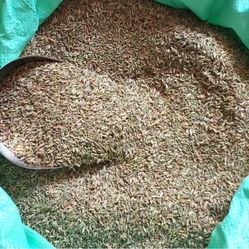 Fennel Seeds 100g Whole Spice For Cooking Bold Global Flavor Profile