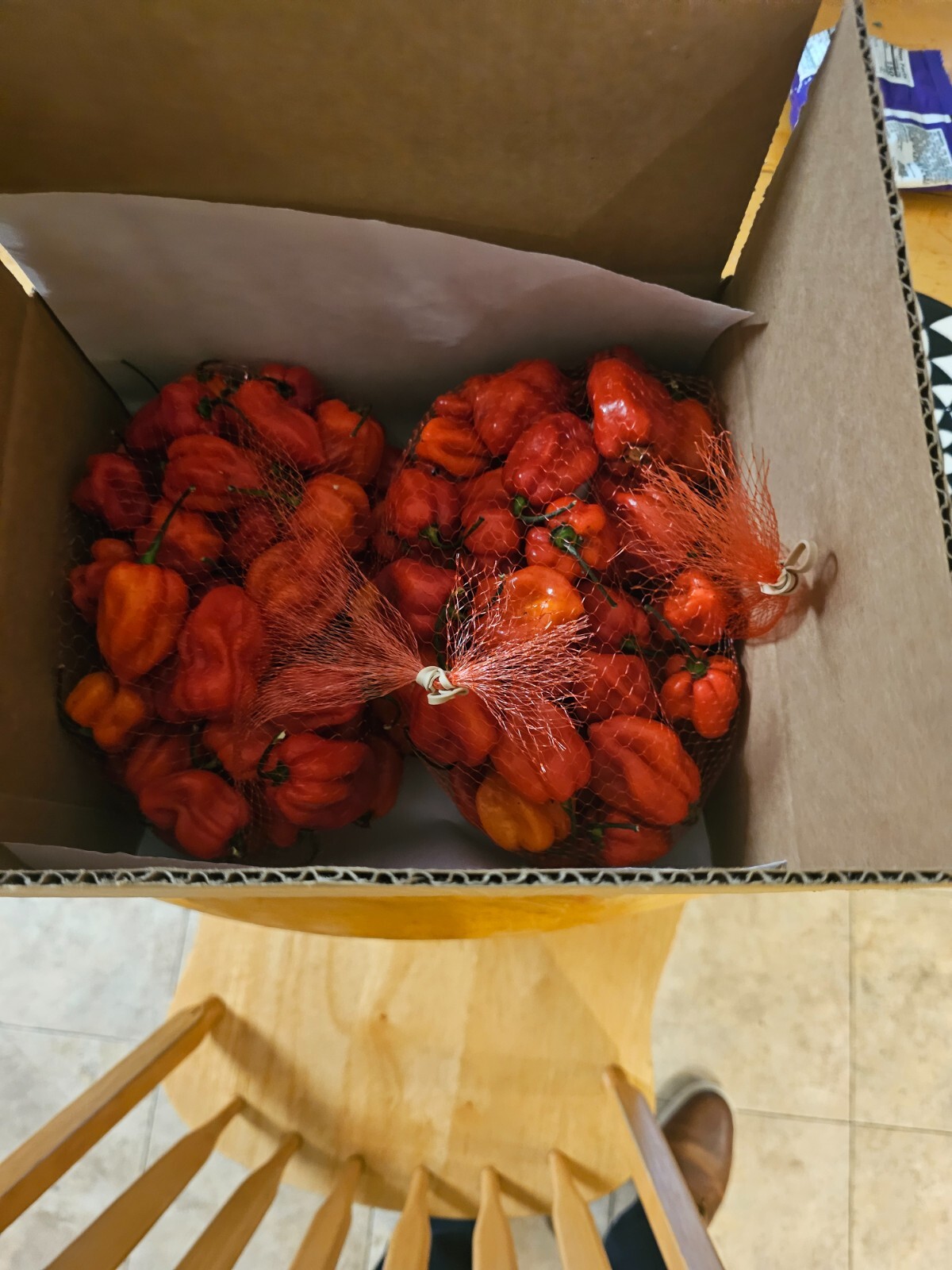 4 Pound Red Habanero Chilli Pepper
