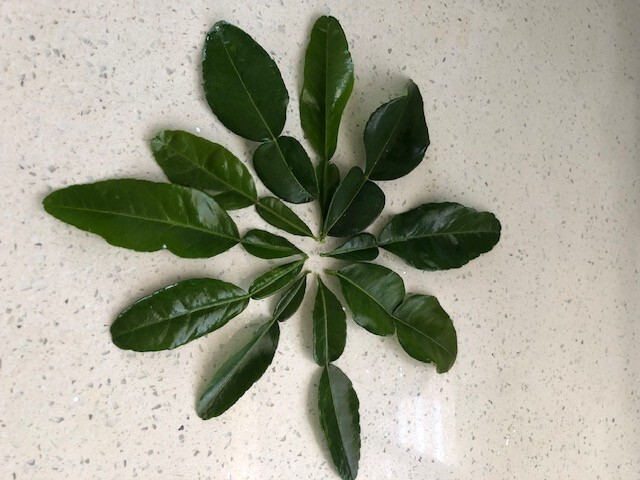 ORGANIC FRESH KAFFIR LIME LEAVES  ( Fresh Handpicked when order )