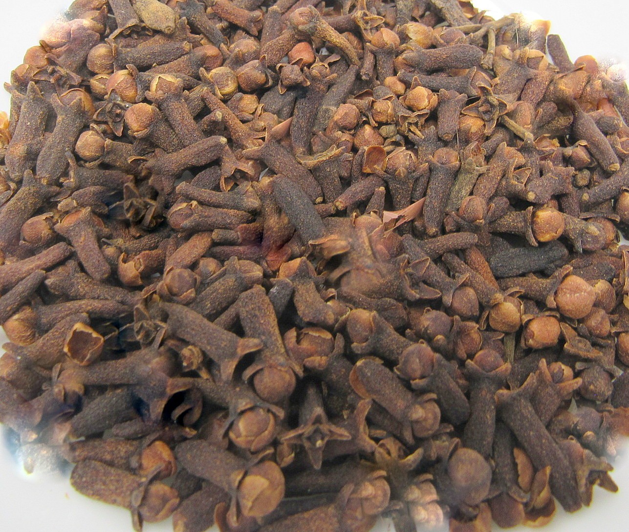 Cloves Whole Culinary 2 oz Large Fragrant Buds Herb Spice Seasoning Mulling zan