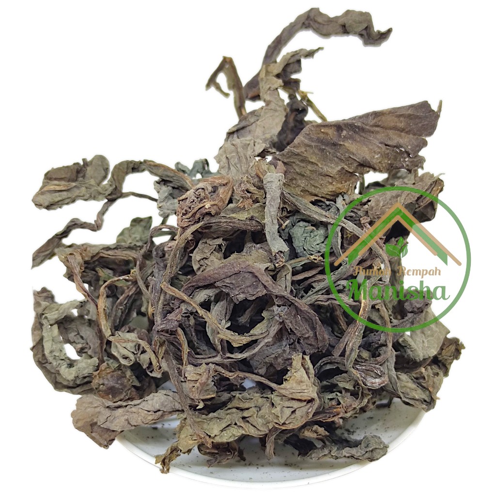 Tempuyung Dried Leaves 100g Indonesian Traditional Herbal Leaf