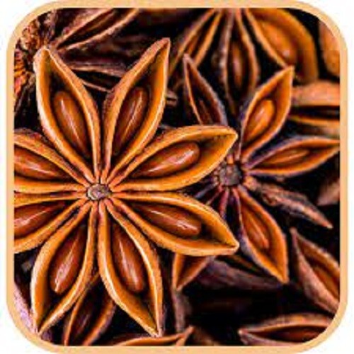 Red Dry Star Anise Seeds Star Anise Bulk 200g 500g 1kg 2kg 5kg 10kg 20kg