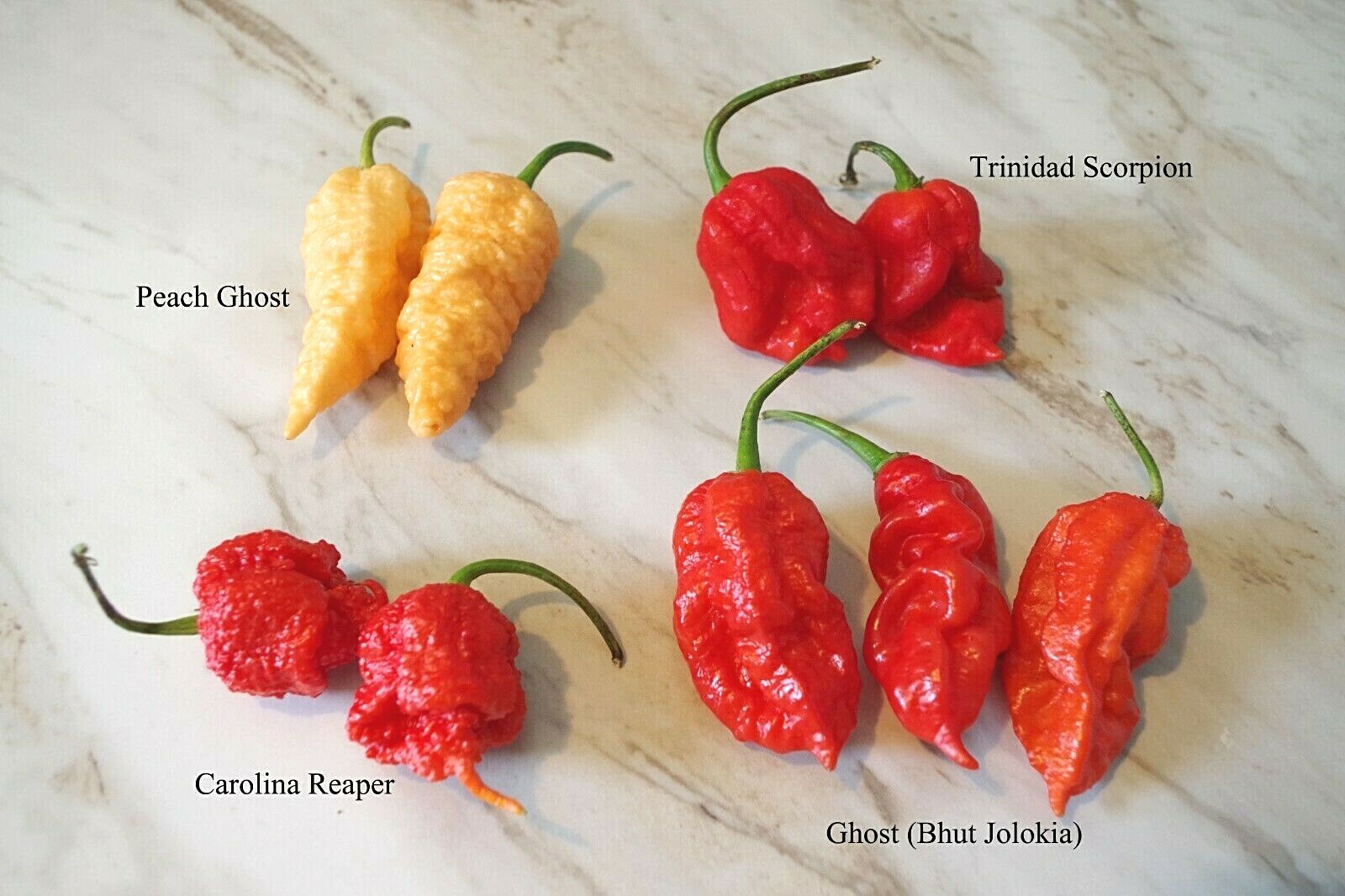 Dried Super Hot Peppers – Carolina Reaper / Ghost / Scorpion – Whole,Grown in TN