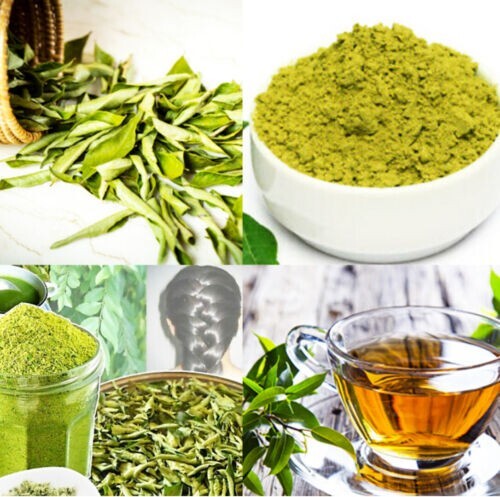 Ceylon Fresh Dried Curry Leaves Powder 100% Natural Best Primum from Sri lanka