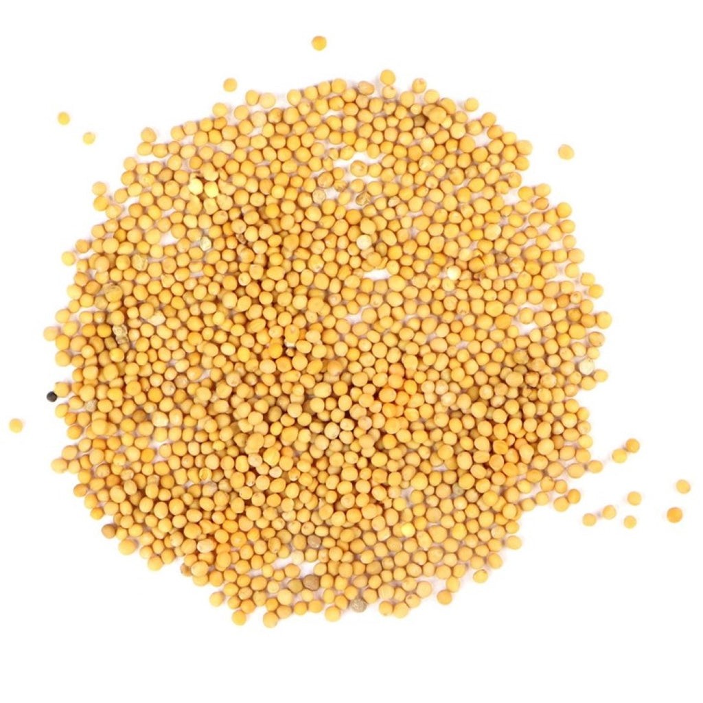 Aiva Whole Yellow Mustard Seeds 5 lb | Ideal for Pickles, Sauces & Seasoning