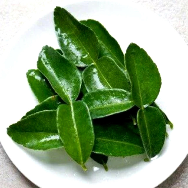 Dried Kaffir Lime Leaves Daun Limau Purut For Thai Cuisine Tomyam & Salad