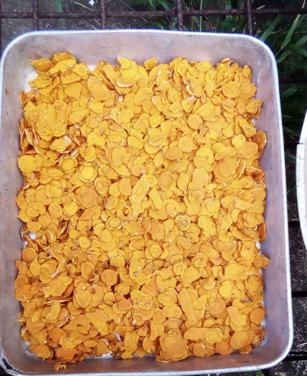 100% PURE Turmeric Root Extract Organic Powder -Free Shipping
