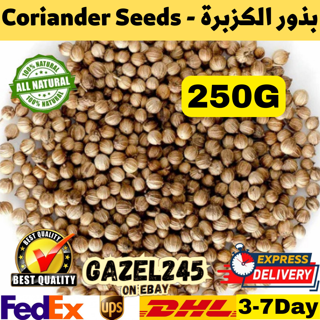 Coriander Seeds Dried Natural Spice Cilantro Seeds GAZL245 بذور الكزبرة القزبرة