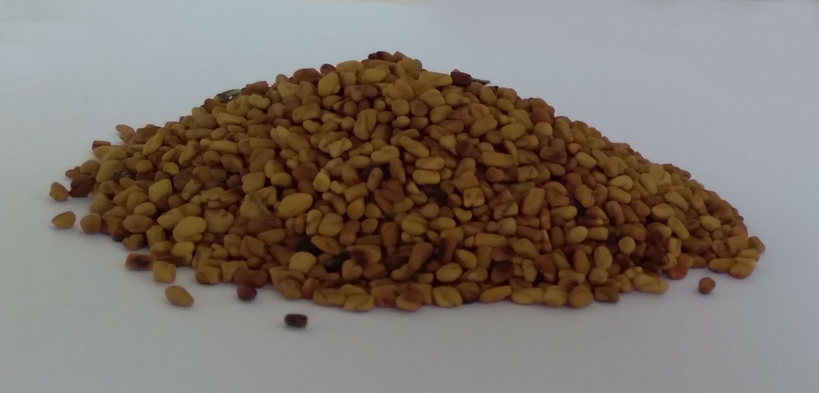 Gaveesha Product Pure Natural Spices Fenugreek Seeds 100 g Direct From Ceylon