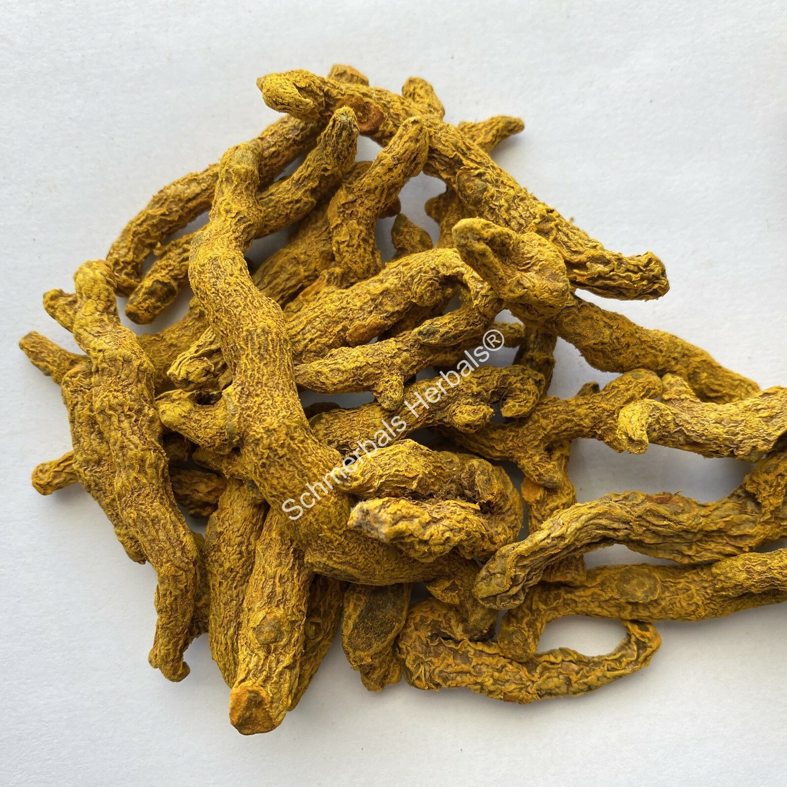 Turmeric, Curcuma longa, “Common Turmeric” Pieces ~ Schmerbals Herbals