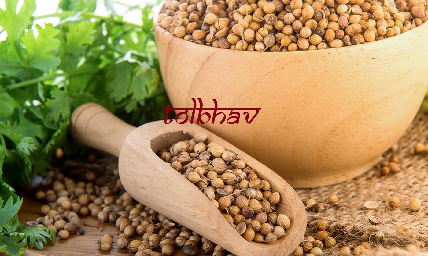 100% Certified Organic Natural Pure Coriander Seed Dhaniya From India