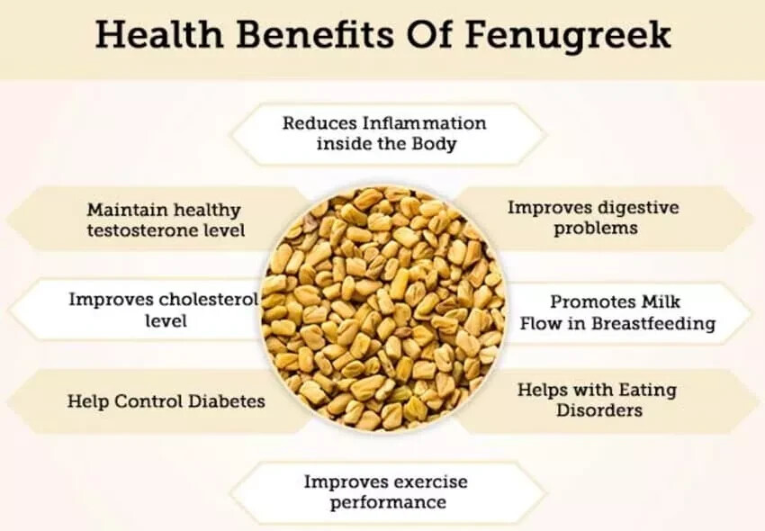 Ceylon Fenugreek seeds Pure Organic Natural Bulk KNOWN AS METHI Premium Quality