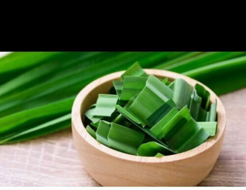 Pure Organic 100% Pandan / Rampe Sun Dried leaves Pandanus Amaryllifolius
