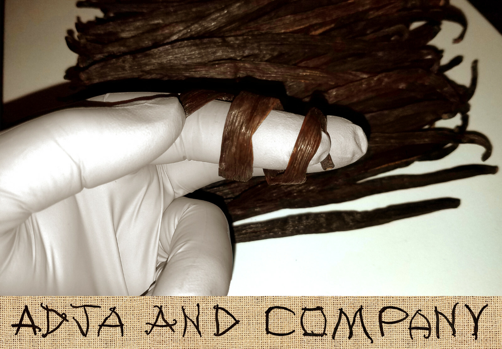 FRESH! 30 MADAGASCAR GOURMET VANILLA BEANS! GRADE ‘A’ QUALITY! + COFFEE SAMPLES!