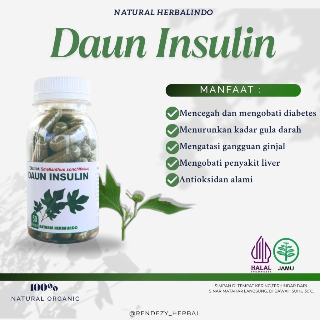Insulin Leaf Capsules 50pcs 500mg Indonesian Herbal Support