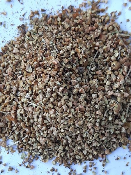 Henna Seeds – Mehandi Beej – Mehendi Beej – Single Herbs -Raw herbs – Jadi Booti
