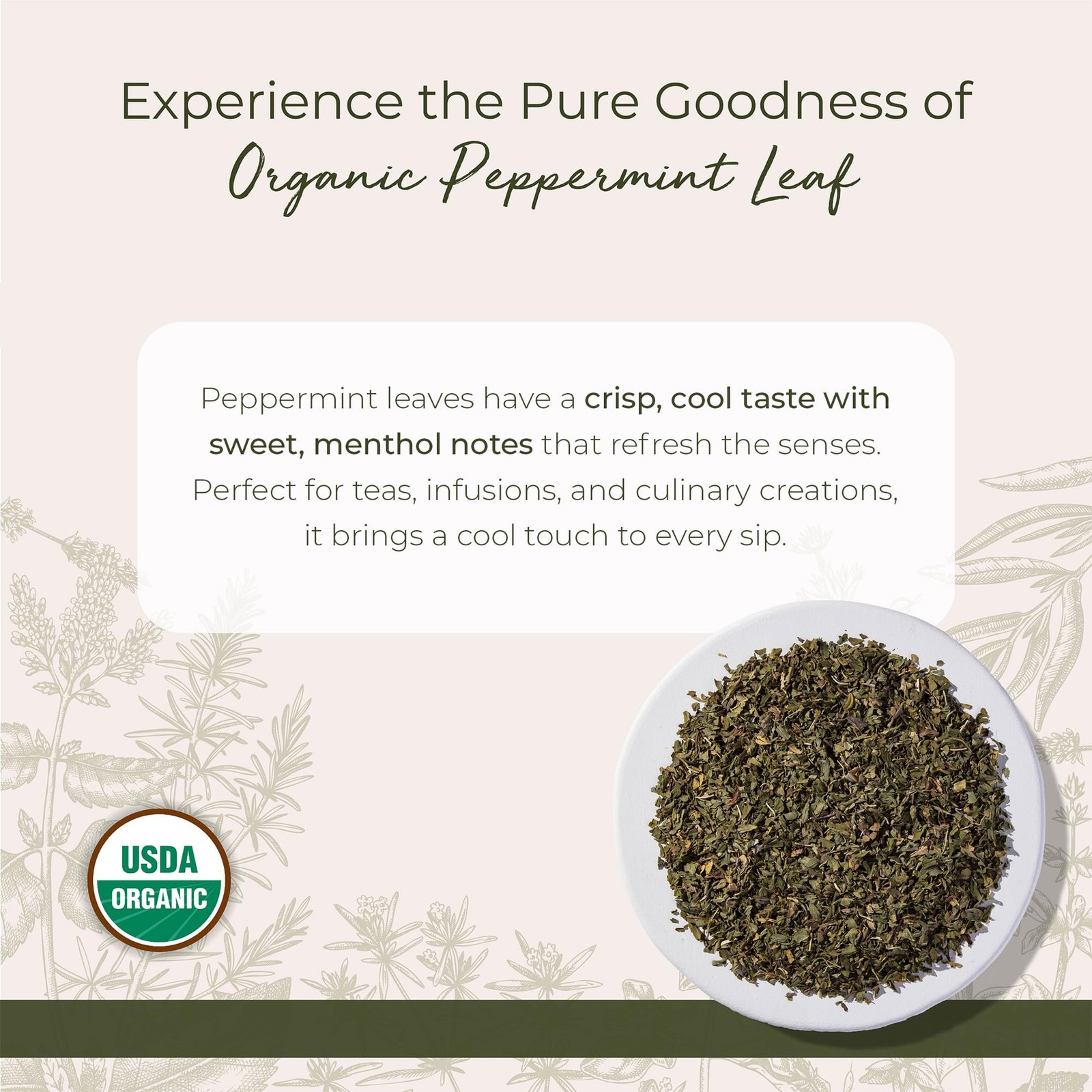Starwest Botanicals Organic Peppermint Leaf 16 Ounce (Pack of 1), No Color
