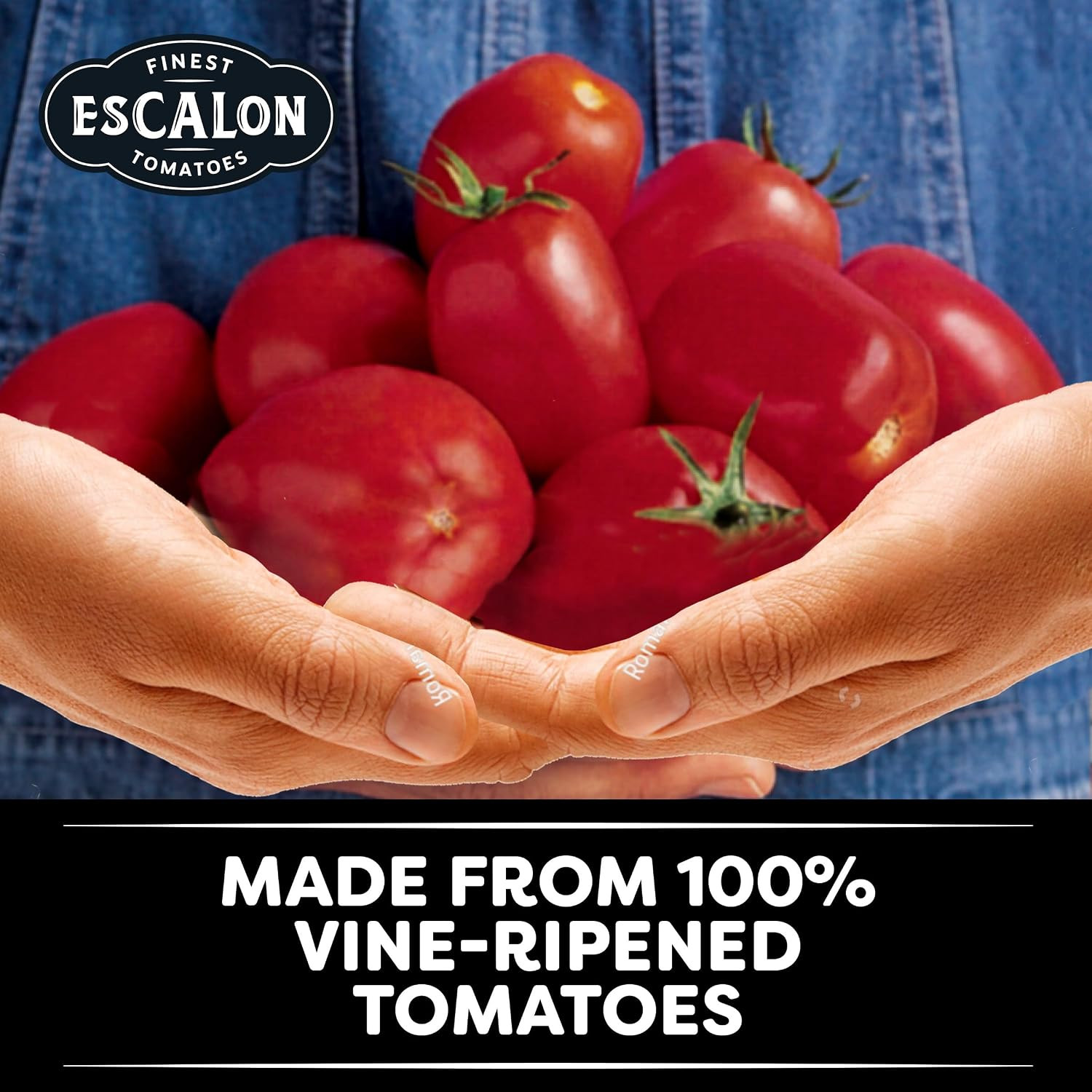 6 in 1 All Purpose Ground Tomatoes, 105 Oz. Cans (Pack of 6)