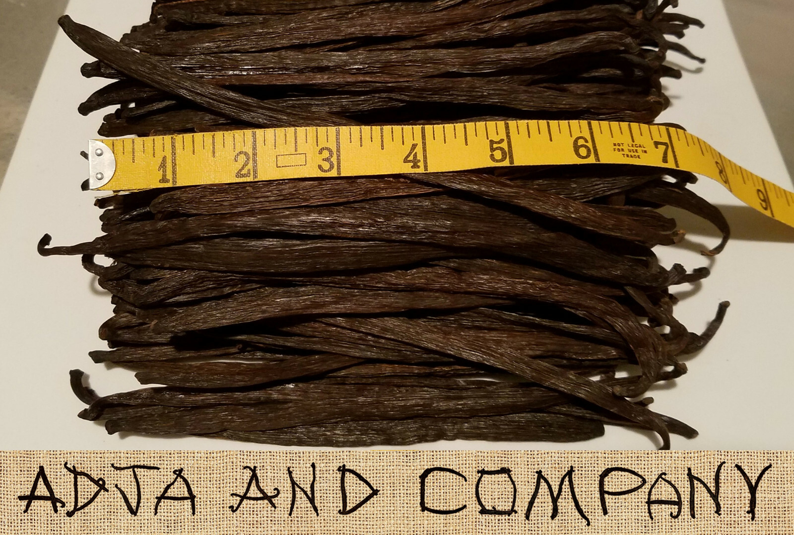 FRESH! 30 MADAGASCAR GOURMET VANILLA BEANS! GRADE ‘A’ QUALITY! + COFFEE SAMPLES!