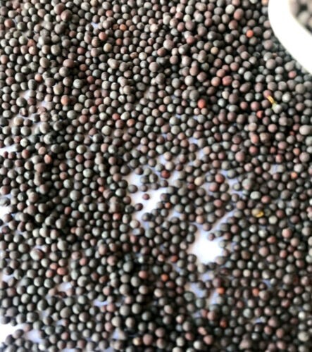 Black Peppercorns Whole Spice By BulkShopMarket Black Pepper Whole 500g