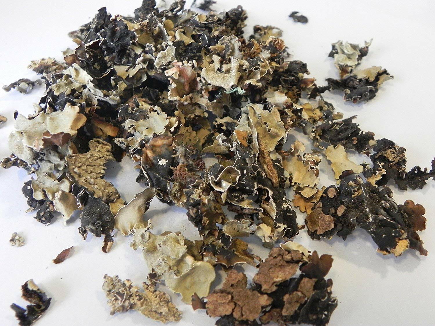 Dagad Phool Stone Flower Kalpasi Indian Spice Best Quality (Pathar Phool)
