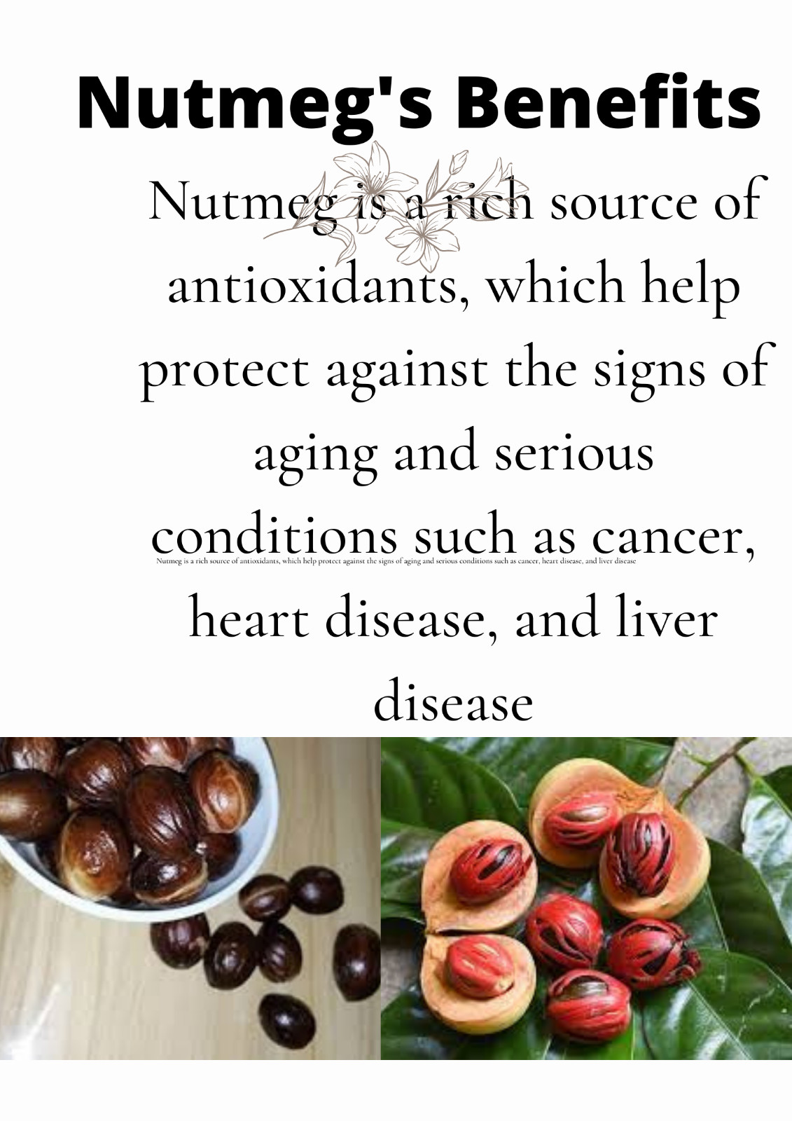 Ceylon 100% pure high quality organic Dried Nutmeg