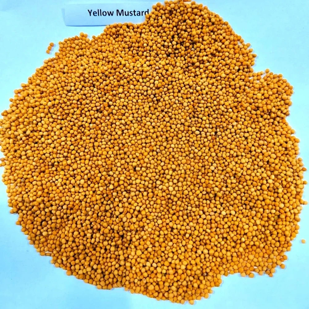 Yellow Mustard Seed100 g – 1kg Pack – Fresh, Organic & Natural Spice