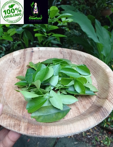 Ceylon Natural Quality Fresh Dried Lime(Lemon) Leaves 50g-1Kg Pure Organic 100%