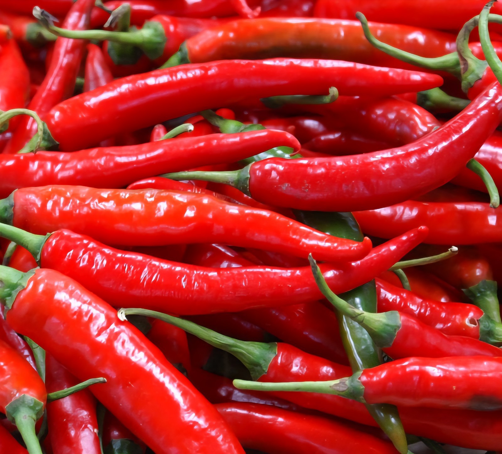 🇰🇷 Korean Premium Red Pepper Powder – 100% Korean Grown | Medium Coarse |…