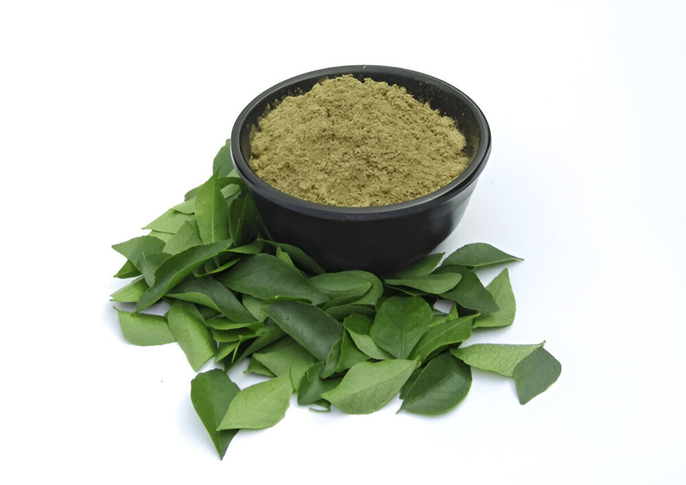 Curry Leaves Murraya koenigii Curry Tree Sweet Neem Ceylon Spice 3.5-26.5oz