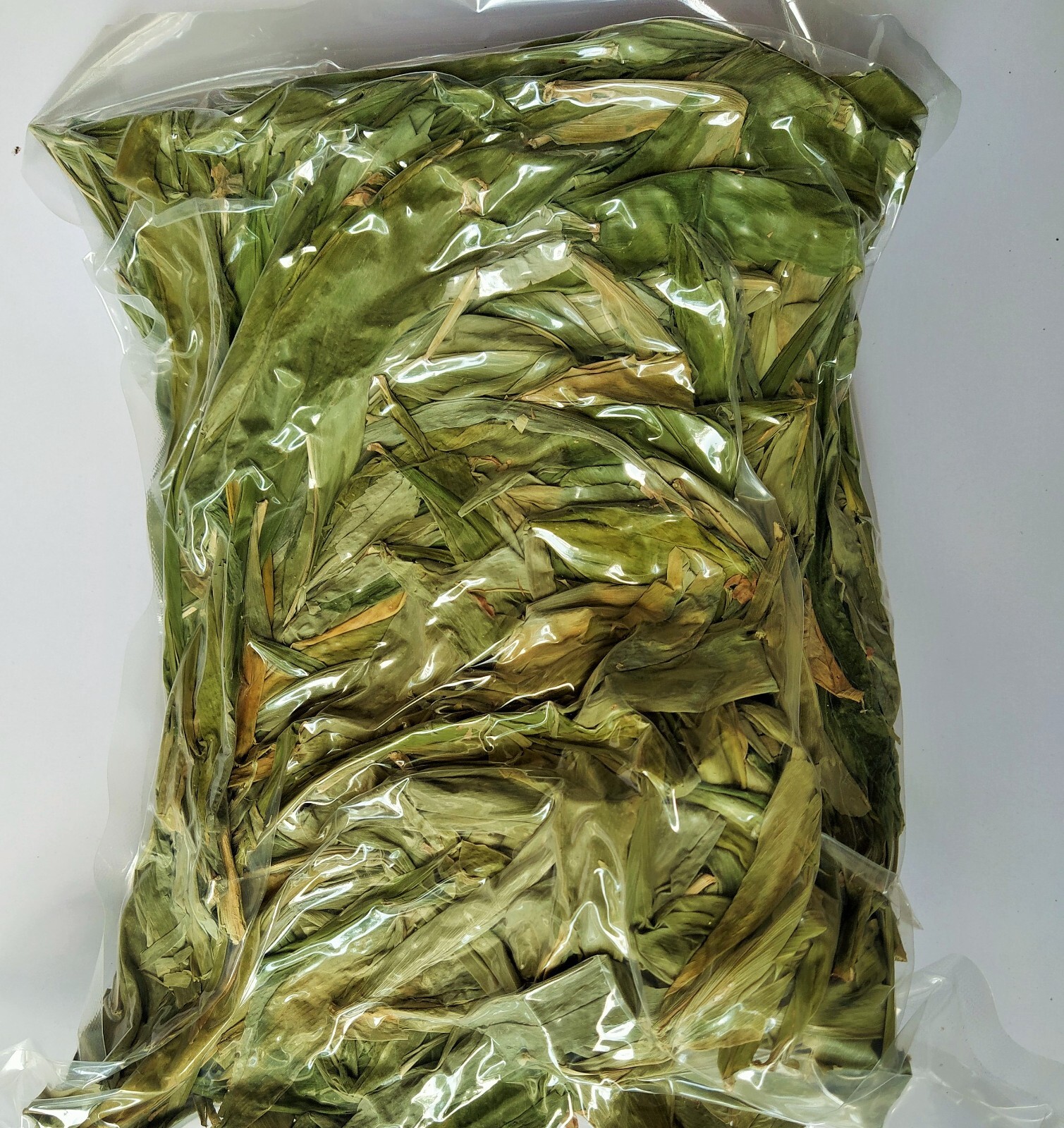 Shampoo Ginger Zingiber zerumbet| Bitter/ Wild Ginger Sri Lanka Wild Herb 3.5oz