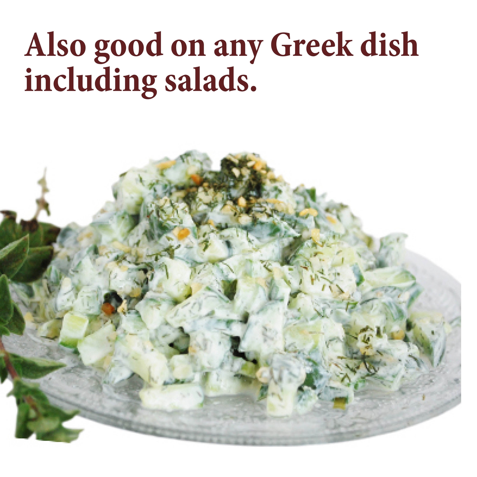 The Spice Way Tzatziki Seasoning Dip 2 oz