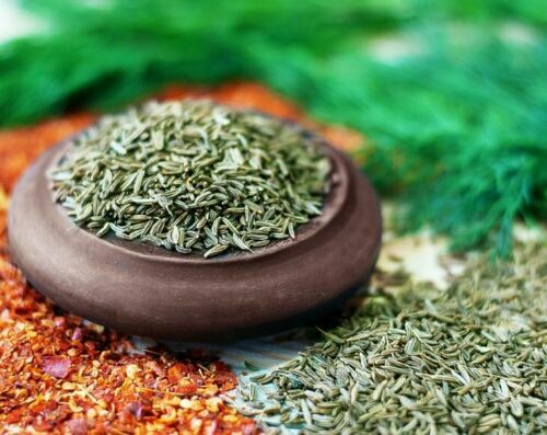 Food to Live Whole Fennel Seeds, Non-GMO Verified, Dried, Raw-100g