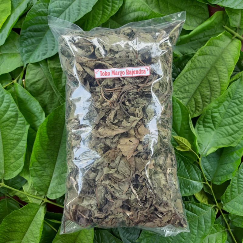 Dried Daun Insulin Leaves 50g – Loose Leaf Botanical for Herbal Infusion
