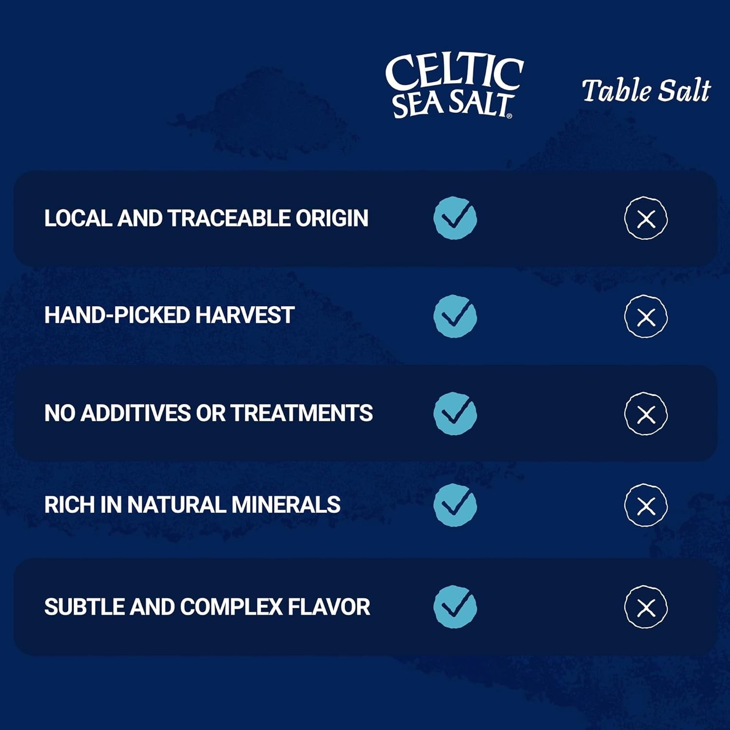 Light Grey Celtic Sea Salt 1 Pound Resealable Bag – Additive-Free, Delicious Sea