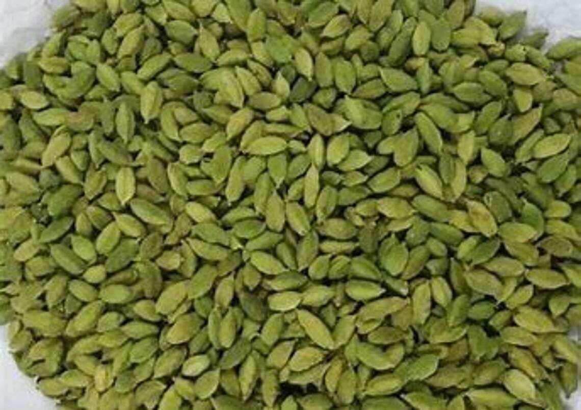 Organic Green Cardamom Pods (Choti Elaichi )