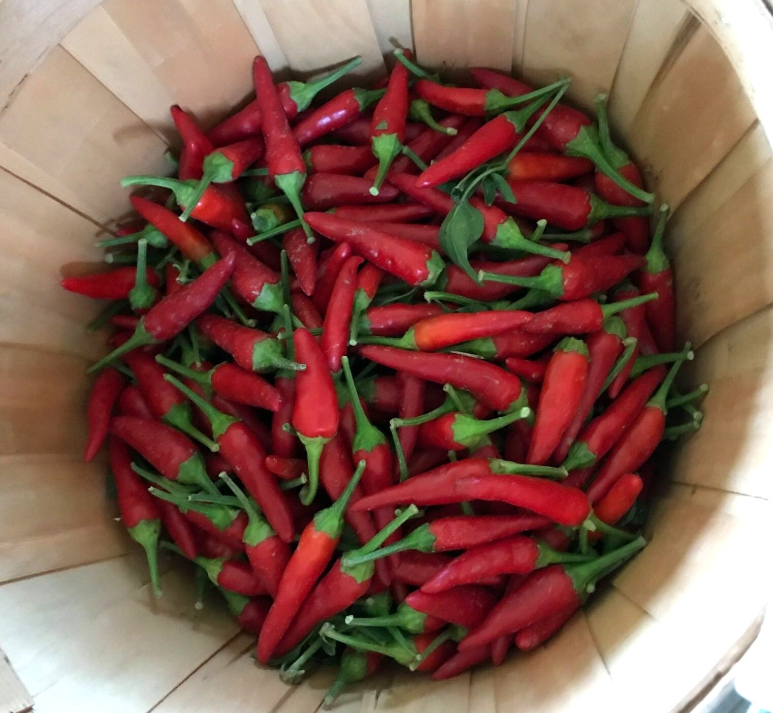 Dried and crushed Red Chili peppers to add a kick! No other ingredients.