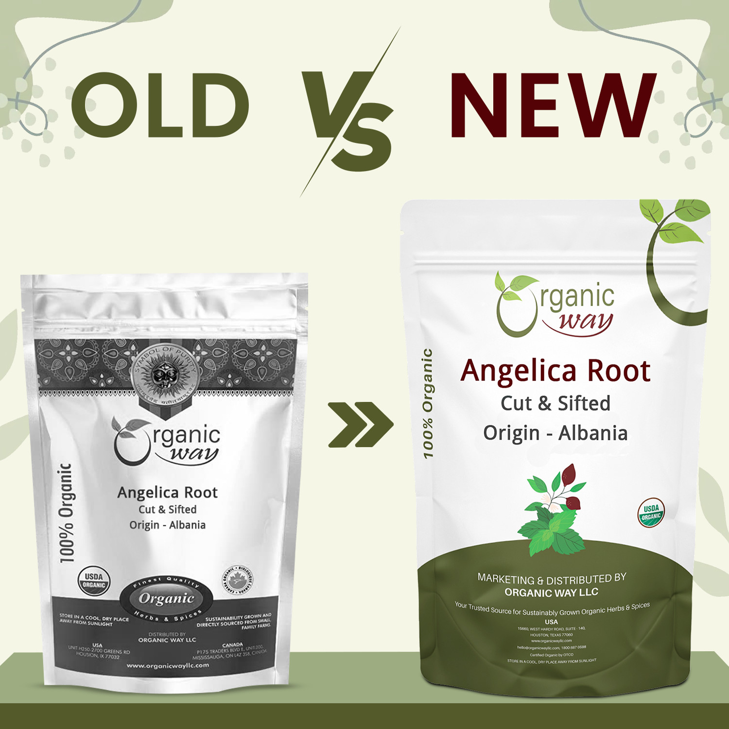 Organic Way Dried Angelica Root Cut & Sifted – Herbal Tea – Origin Albania