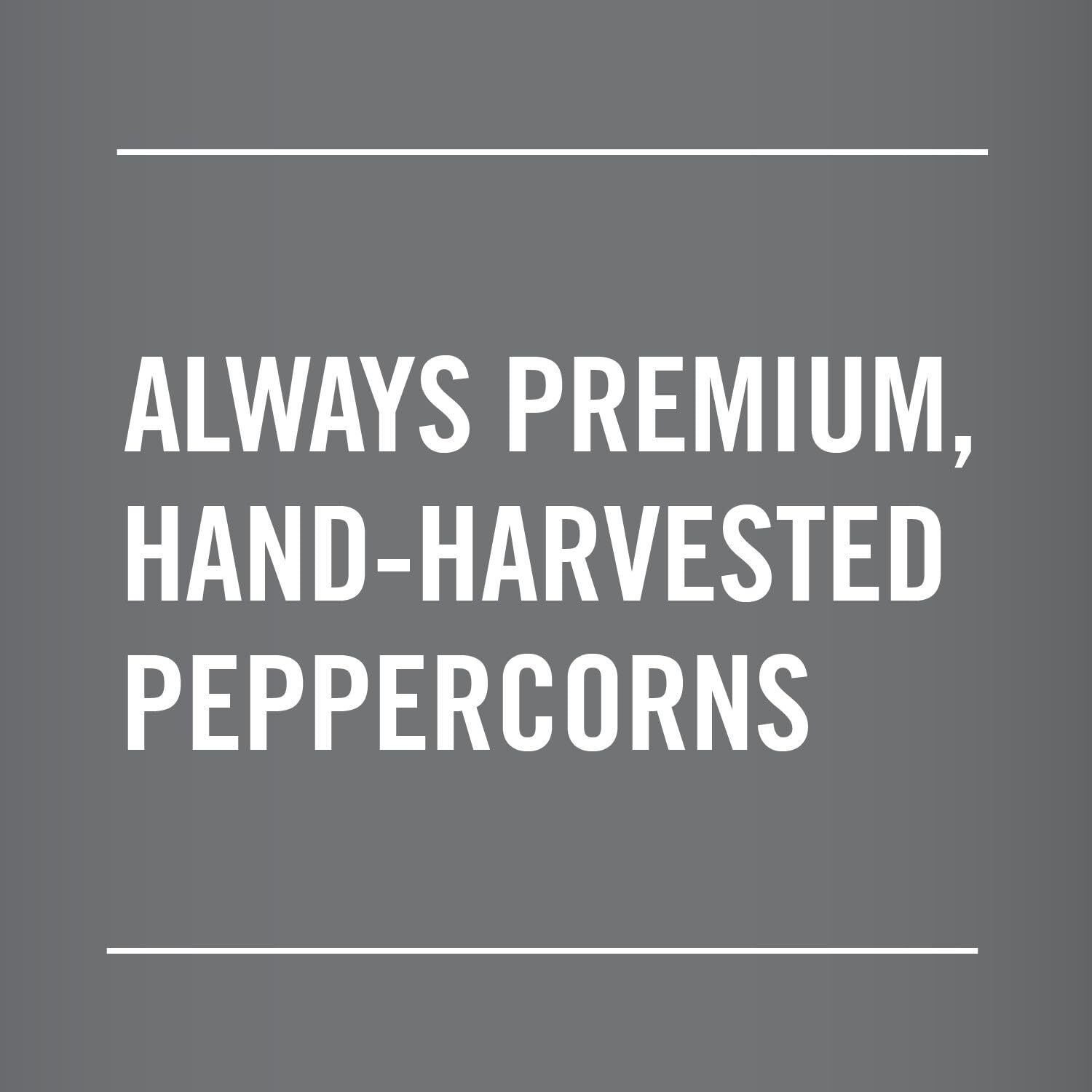 McCormick Whole Black Pepper (Made with Whole Peppercorns), 17.5 oz