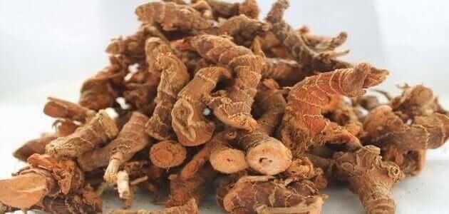 100g Grams Dried Galangal Whole Roots Alpinia Natural Spice – خلنجان خولجان