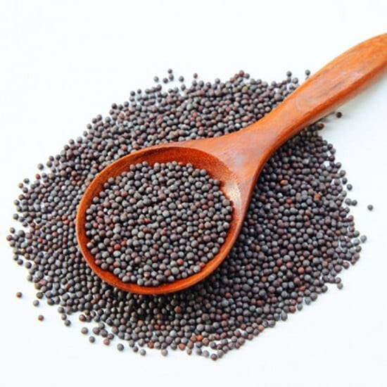 Mustard Micro Powder Premium Non-GMO Heirloom With High Germination Rate Powder