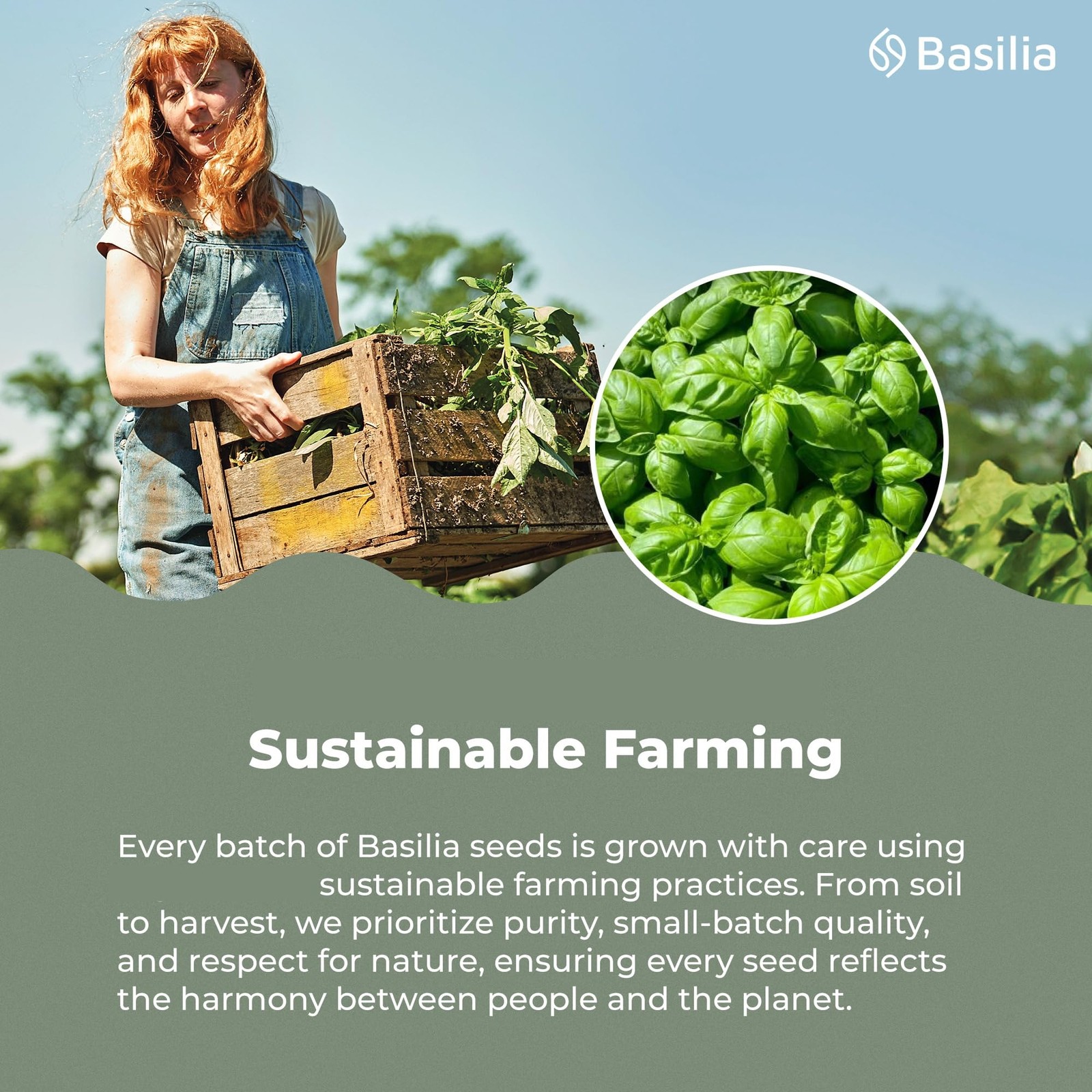 Basilia Basil Seeds for Eating | The Original Loaded Water | 2x More 16oz